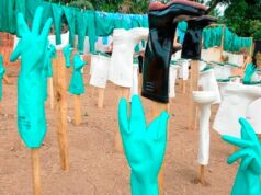 Cruz Vermelha pede reforço da informação às populações atingidas