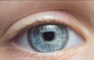 Lipid aids healing of scratches on the cornea