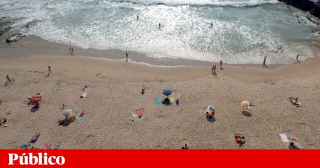 957f80fe41a3769dbb9a91e7b29fe706