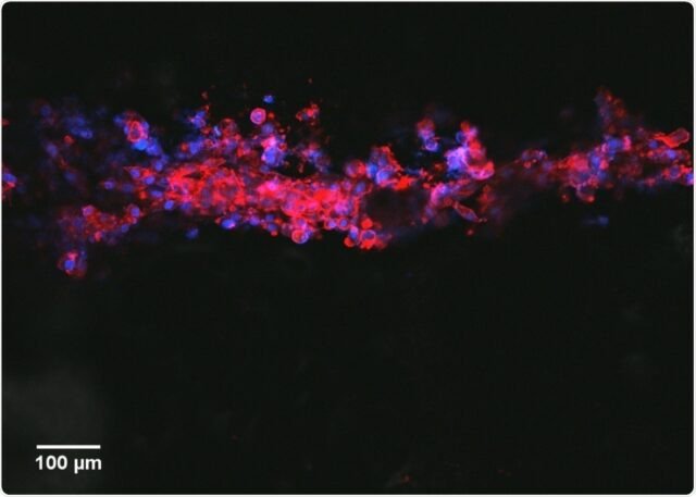 0daee4b6e4b1c6d2081b8cb3d79a62f1