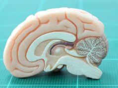 Researchers use single-cell RNA sequence analysis to address the cornea’s healing process