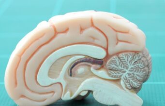 Researchers use single-cell RNA sequence analysis to address the cornea’s healing process