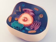 Discovery reveals a fundamental way cells interpret signals from the environment