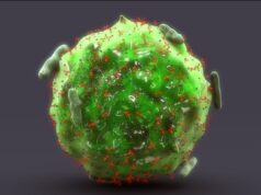 First intratumoral injection approved by FDA for treating non-metastatic mast cell tumors in dogs