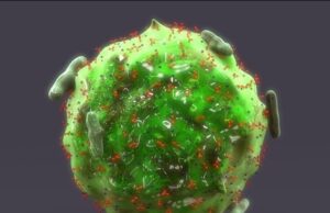 First intratumoral injection approved by FDA for treating non-metastatic mast cell tumors in dogs