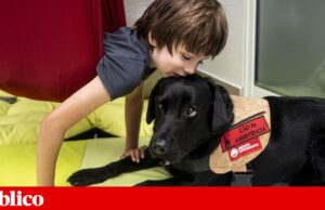 Candy, Balzac e Mira ao serviço de crianças com deficiência