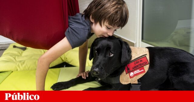 5c7d0ae1186eb5c8b2372c1c7e820f53