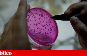 A comunicação de ciência vista pelos cidadãos