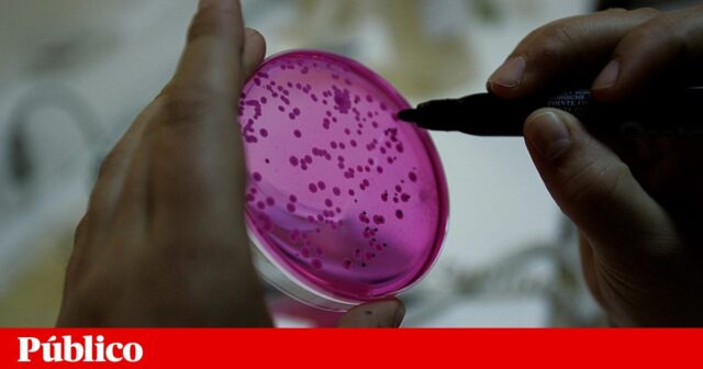 91d0038e4834c25ffe6a40e034362d7c