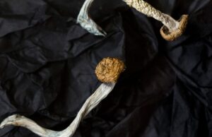 A medicina psicadélica é promissora, mas ainda não deve ser receitada, diz estudo