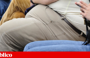 Investigadores de Castelo Branco avaliam influência da microbiota na perda de peso