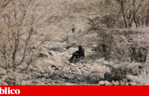 Uma em cada três crianças em desnutrição aguda no Norte do Quénia, alerta ONG