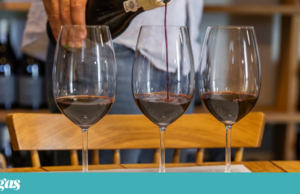 “Conselho dos Sábios” pede aos líderes mundiais para protegerem oito milénios de história do vinho