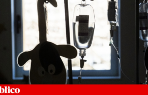 Colégio de Pediatria concorda com a revisão das equipas de urgência: “A população mudou”