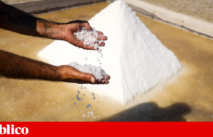 Madeira vai resolver deficiência de iodo com sal. O resto do país continua à espera