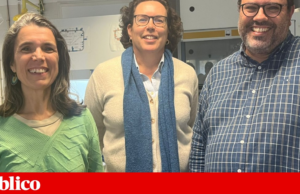 Cientistas portugueses procuram tratar a dermatite atópica com uma bactéria da pele