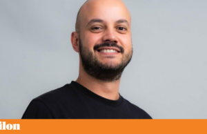 Porque é que as zebras não têm úlceras?