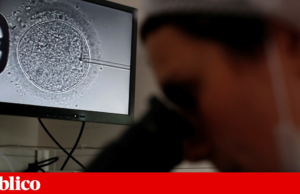 Esperma com mutação genética associada ao cancro foi usado para conceber quase 200 crianças na Europa
