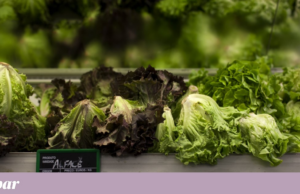 O que um especialista em segurança alimentar não pediria no restaurante