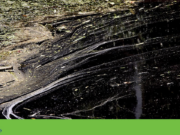 Poluição do rio Alviela persiste. Activistas denunciam “meio século de luta” ineficaz