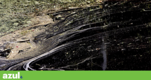 Poluição do rio Alviela persiste. Activistas denunciam “meio século de luta” ineficaz