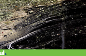 Poluição do rio Alviela persiste. Activistas denunciam “meio século de luta” ineficaz