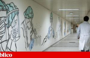 Atraso no concurso para médicos especialistas: despacho será publicado em breve