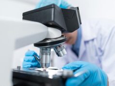 Fungo hospitalar “Candida auris” identificado pela primeira vez em Portugal