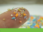 O que aprendemos sobre microplásticos em 2025