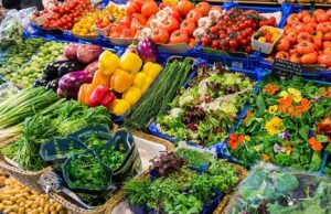 Dietas vegetarianas associadas a menores riscos de vários cancros, aponta maior estudo