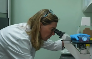 Pesquisa brasileira dá esperança a pacientes com lesões na medula