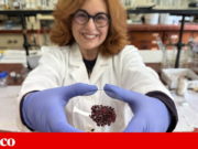 E se pequenas moléculas de ouro ajudassem a tratar o cancro do ovário?