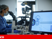 Gestação de substituição: associação escreve a Seguro e lembra atraso do Governo