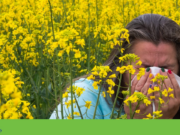 Seis dicas para controlar os sintomas das alergias durante toda a estação
