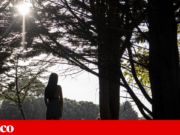 A saúde dos homens e mulheres não é igual: elas vivem mais tempo, mas com mais anos maus