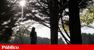 A saúde dos homens e mulheres não é igual: elas vivem mais tempo, mas com mais anos maus