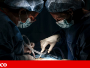 Cientistas criam terapia que prepara o sistema imunitário para não rejeitar fígados transplantados