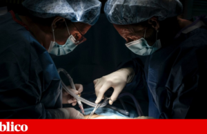 Cientistas criam terapia que prepara o sistema imunitário para não rejeitar fígados transplantados