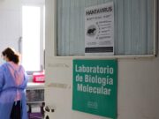Vacina contra hantavírus: cientistas correm para desenvolver imunização para nova estirpe