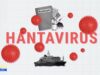 Hantavírus: estará a Europa preparada para novas ameaças à saúde?