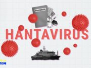 Hantavírus: estará a Europa preparada para novas ameaças à saúde?
