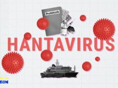Hantavírus: estará a Europa preparada para novas ameaças à saúde?