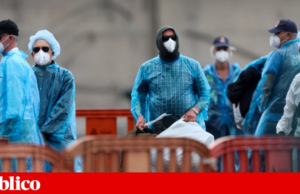 Mais dois casos de hantavírus do navio MV Hondius confirmados em francesa e americano