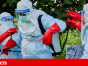 Ébola: as vacinas e tratamentos contra o Bundibugyo que estão em desenvolvimento