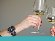 São as pessoas que não bebem vinho que estão a estragar isto tudo