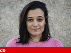 Carmen Garcia: “Chegámos a um ponto em que os animais são confundidos com humanos”