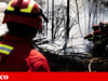 Investigadores alertam para riscos ocupacionais nos bombeiros portugueses