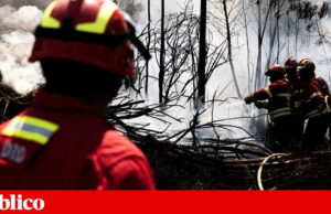 Investigadores alertam para riscos ocupacionais nos bombeiros portugueses