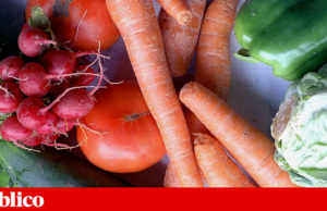 Como se soletra “nutricionista”? Cinco décadas do estudo da nutrição em Portugal