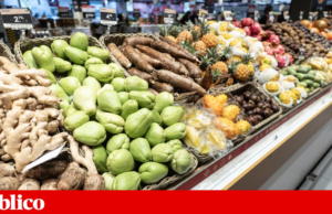 Roda dos alimentos: por que não uma pirâmide?